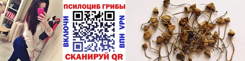 Псилоцибиновые грибы GOLDEN TEACHER  Лагань 